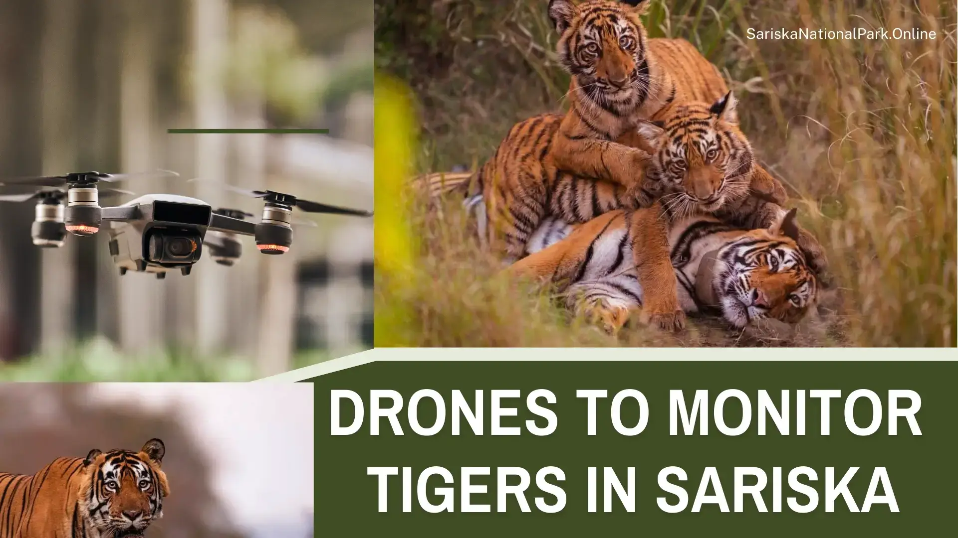 Sariska Uses Drones for Tiger Safety