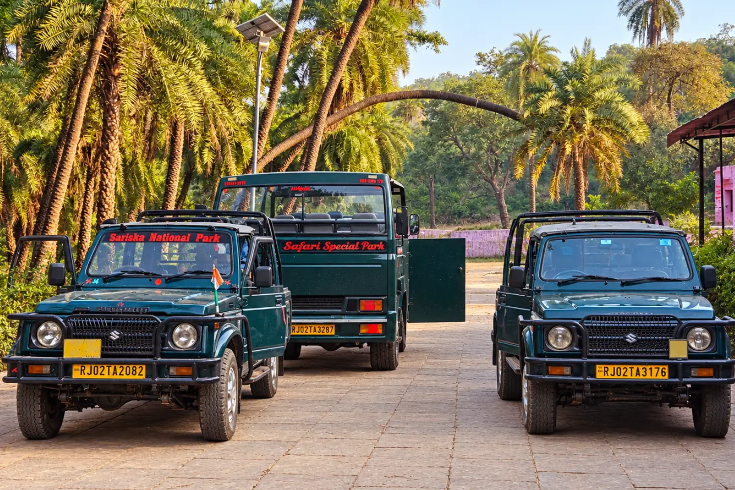 Jeep Safari in Sariska National Park