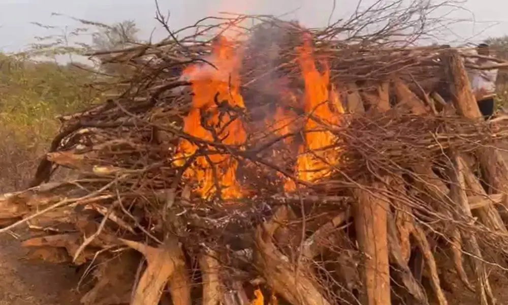 Tigress ST-28 Dies in Territorial Clash at Sariska