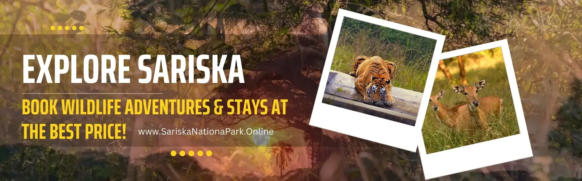 Hotels in Sariska National Park