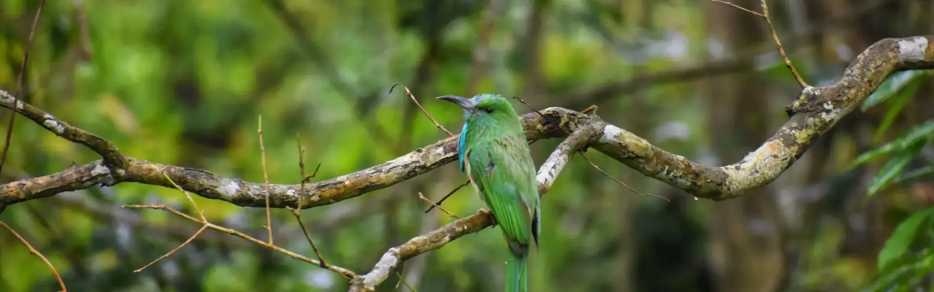 Sariska National Park