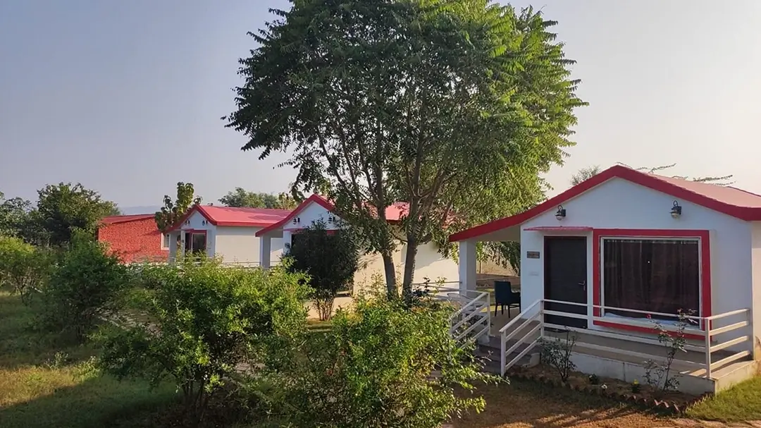 Wow Relish in the Wild in sariska