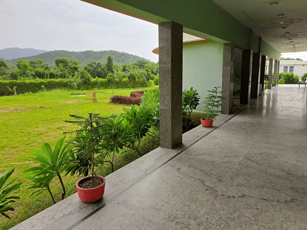 Green Valley in Sariska 