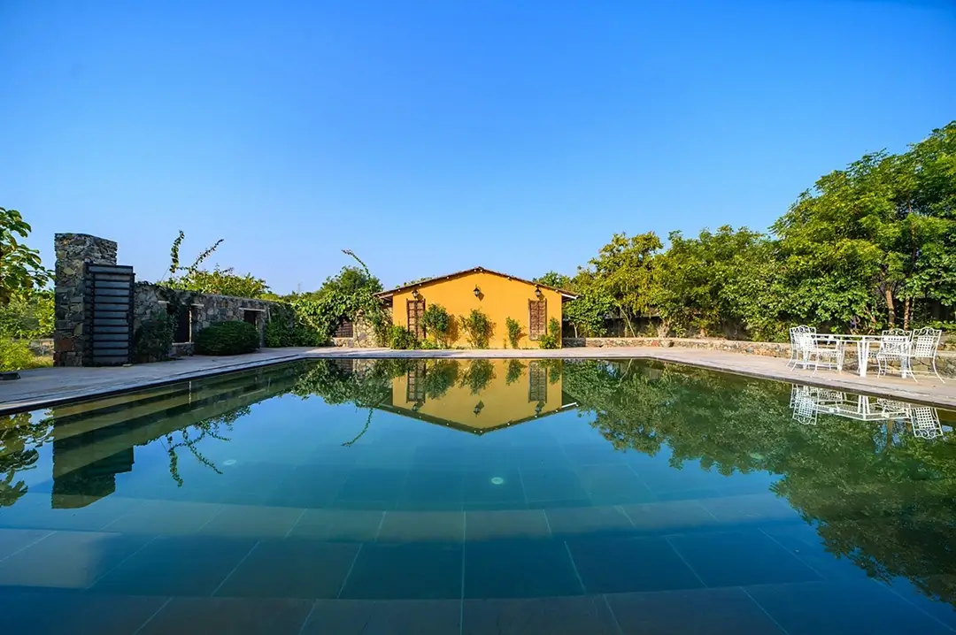 The Beehad in sariska