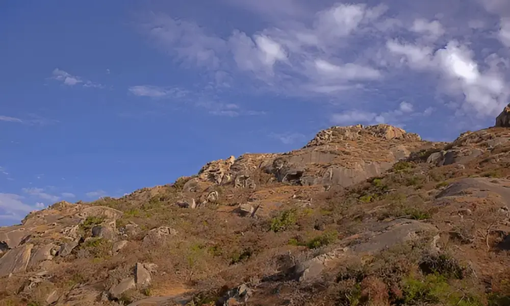 Mount Abu Wildlife Sanctuary