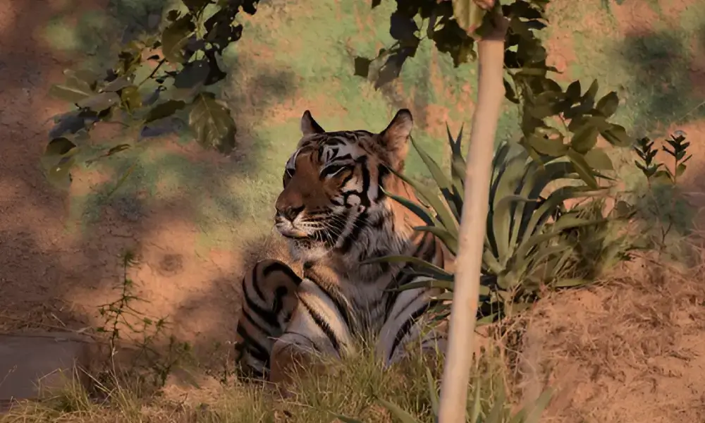 Nahargarh Biological Park, Jaipur